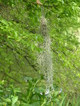 P1030866Tilantie.JPG