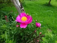 DSC01747.webp