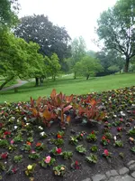P1030956Elisenpark.webp