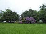 P1030962Elisenpark.JPG
