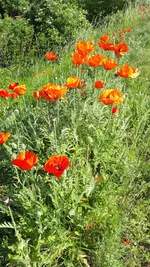 20210605_165155.webp