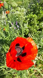 20210605_165209.webp