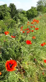 20210605_165225.webp
