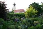 Juni    0321.JPG