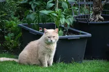 Juni  0121.webp