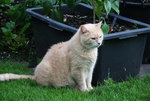 Juni  0221.JPG