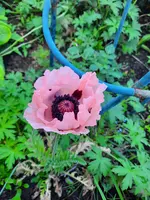 20210609_101037.webp