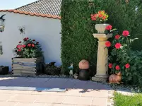 IMG_20210609_094115.webp