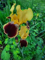 20210609_101019.webp