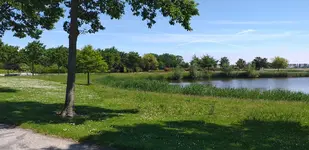 20210609_123543.webp 20210609_123543.webp