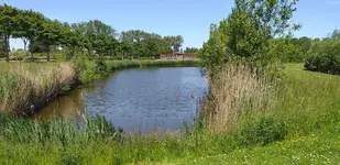 20210609_123807.webp 20210609_123807.webp