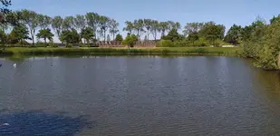 20210609_124118.webp 20210609_124118.webp