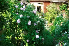 _MG_0276.webp