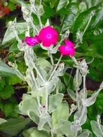 12.06.09 034.webp