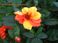 IMG_2862.webp