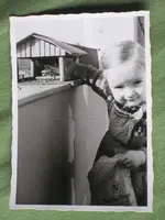 garten 09.webp