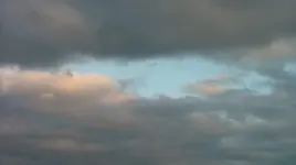 DSCF0349.webp
