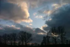 DSCF0352.webp