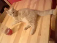 HNI_0062.webp