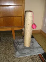 Kleiner Kratzbaum.webp