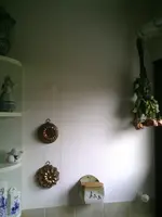 PIC00943.webp