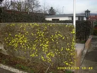 JD500230.webp