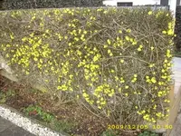 JD500231.webp