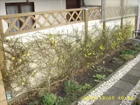 JD500232.webp