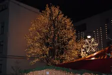 DSC_0044.webp