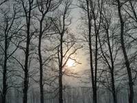 IMG_1584.webp