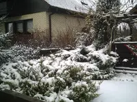 PIC00946.webp