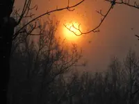 IMG_1590.webp