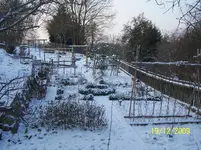011.webp