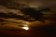 IMG_3382(2).webp