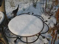 garten 09 008.webp