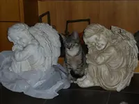 P1020191.webp