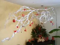 SA500257.webp