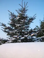 Dezember09 011.webp