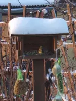 Dezember09 023.webp