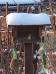 Dezember09 023.jpg