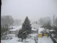 DSC01519.webp