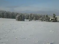 Dez.2009 010.webp