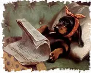 !cid_CA4773A5F1C445618A9DF5750FE648E3@MD8080.webp