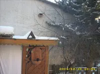 JD500281.webp