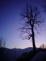 DSC00681.webp