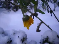 19.12.09 018.webp