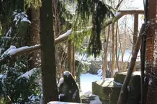 IMG_0054.webp