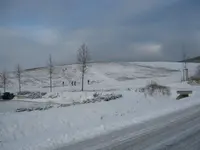 001.webp