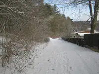 013.webp