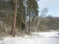 024.webp